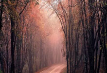 中超第4轮裁判安排：麦麦提江执法泰山vs蓉城，马宁本轮轮休.