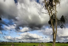 坎宁安25+12+11三分准绝杀 活塞送热火9连败.