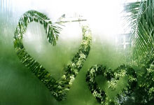 完美体育官网：法国队拍摄本期全家福，德尚和姆巴佩位居C位.